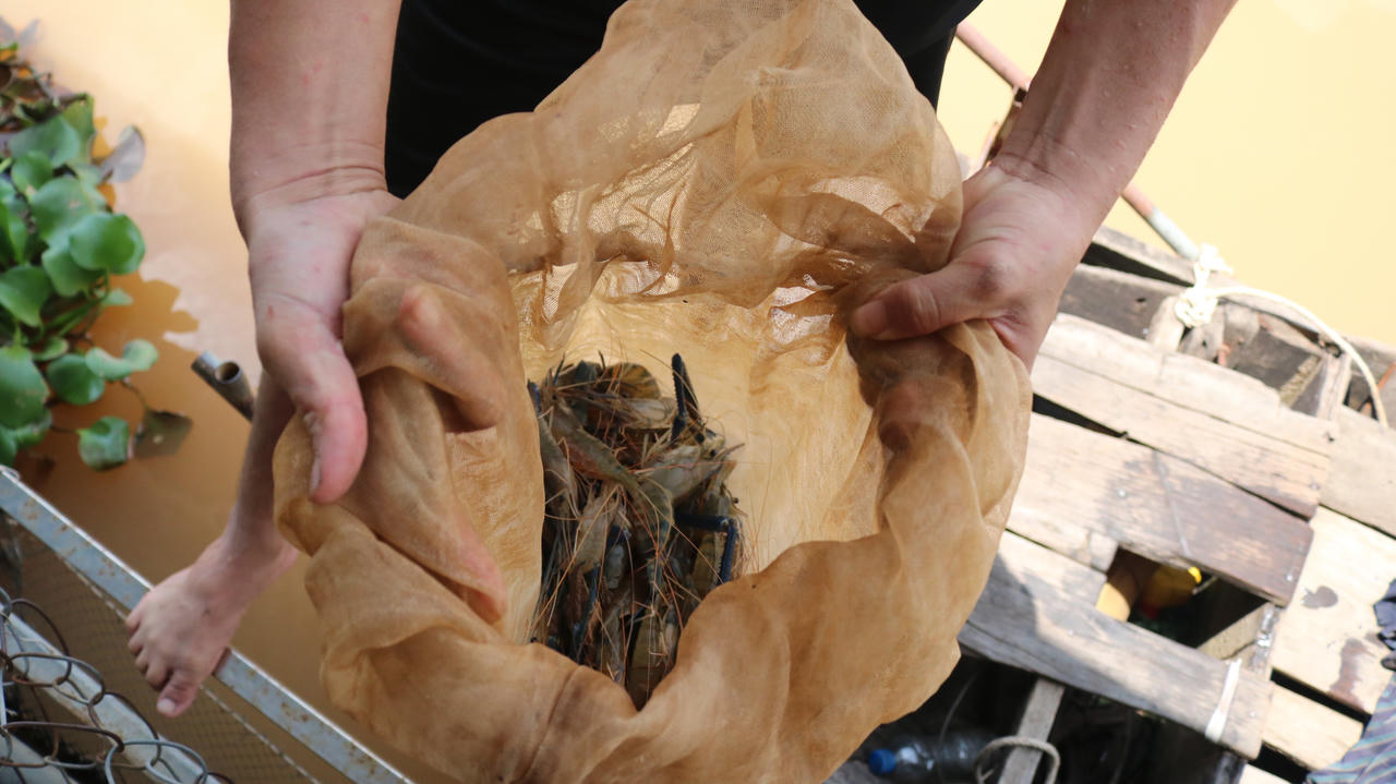 Nghề săn lộc trời trên sông Đồng Nai