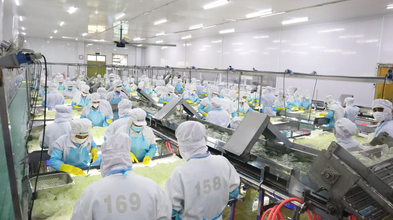 Từ đất Việt ra thế giới: Câu chuyện thành công của GC Food và nha đam Việt Nam