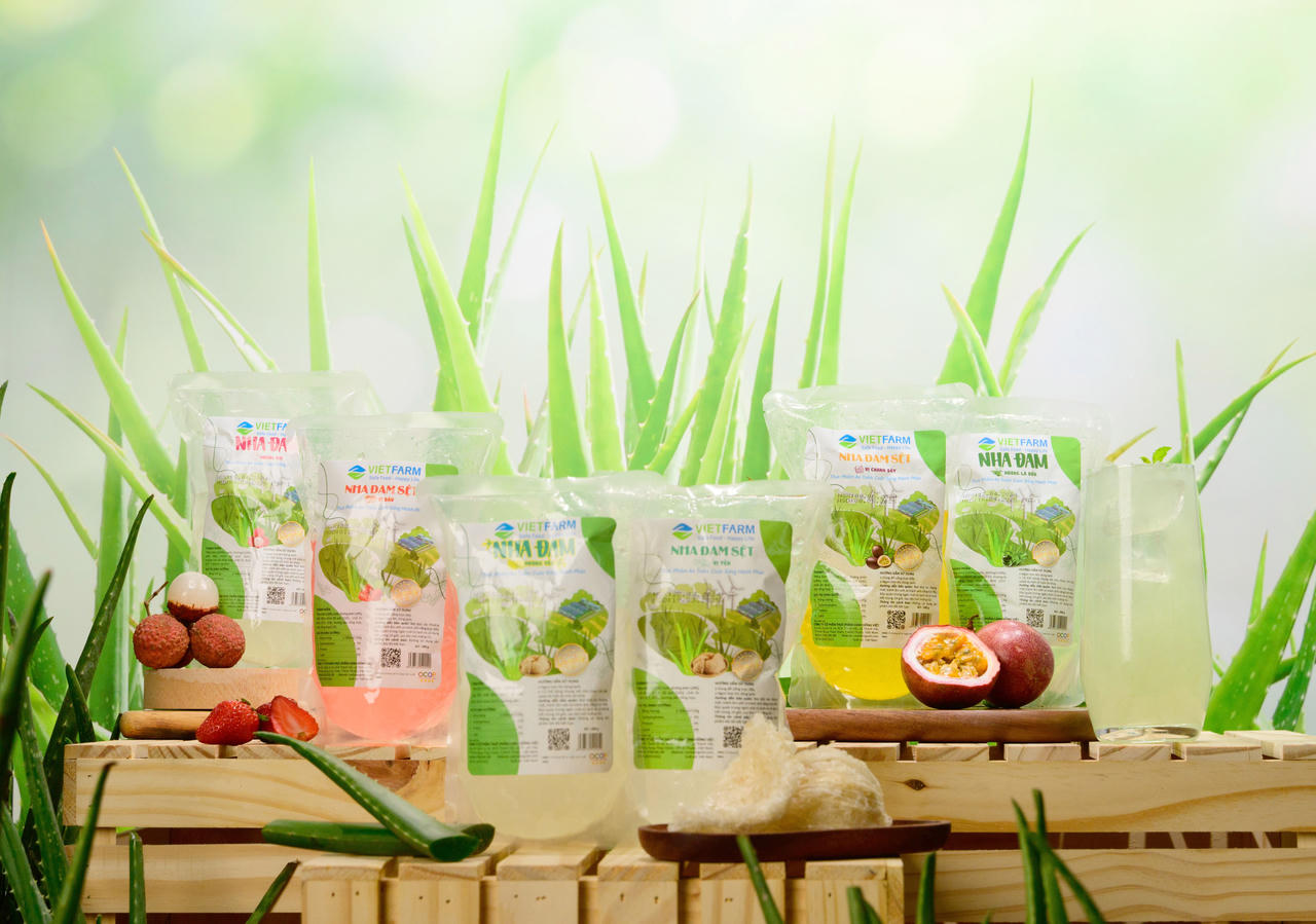 Từ đất Việt ra thế giới: Câu chuyện thành công của GC Food và nha đam Việt Nam