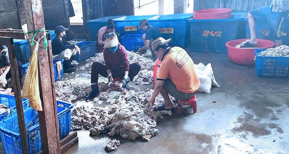 Điều tra 4 tấn mỡ, nội tạng heo không rõ nguồn gốc tại Biên Hòa