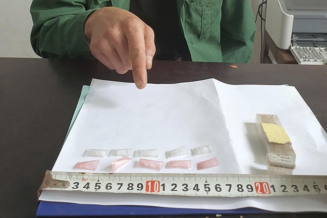 Bắt đối tượng tàng trữ trái phép chất ma túy tại rẫy thanh long