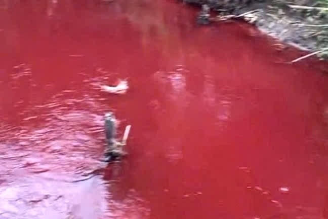 Bình Phước: Nước suối chuyển màu đỏ như máu khiến dân hoang mang