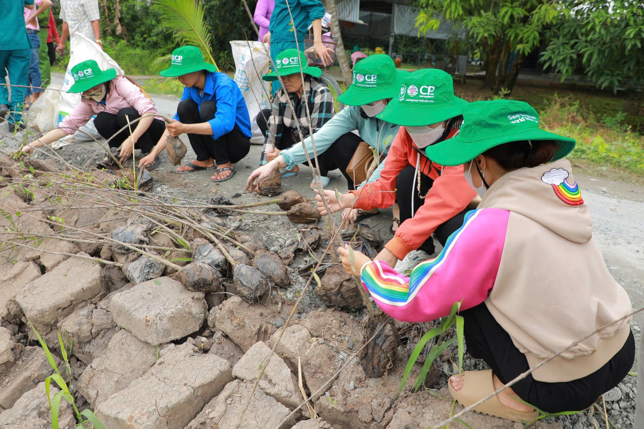 C.P. Việt Nam tiếp tục đồng hành cùng tỉnh Đồng Tháp xây kè xanh giữ đất, chống sạt lở bờ sông