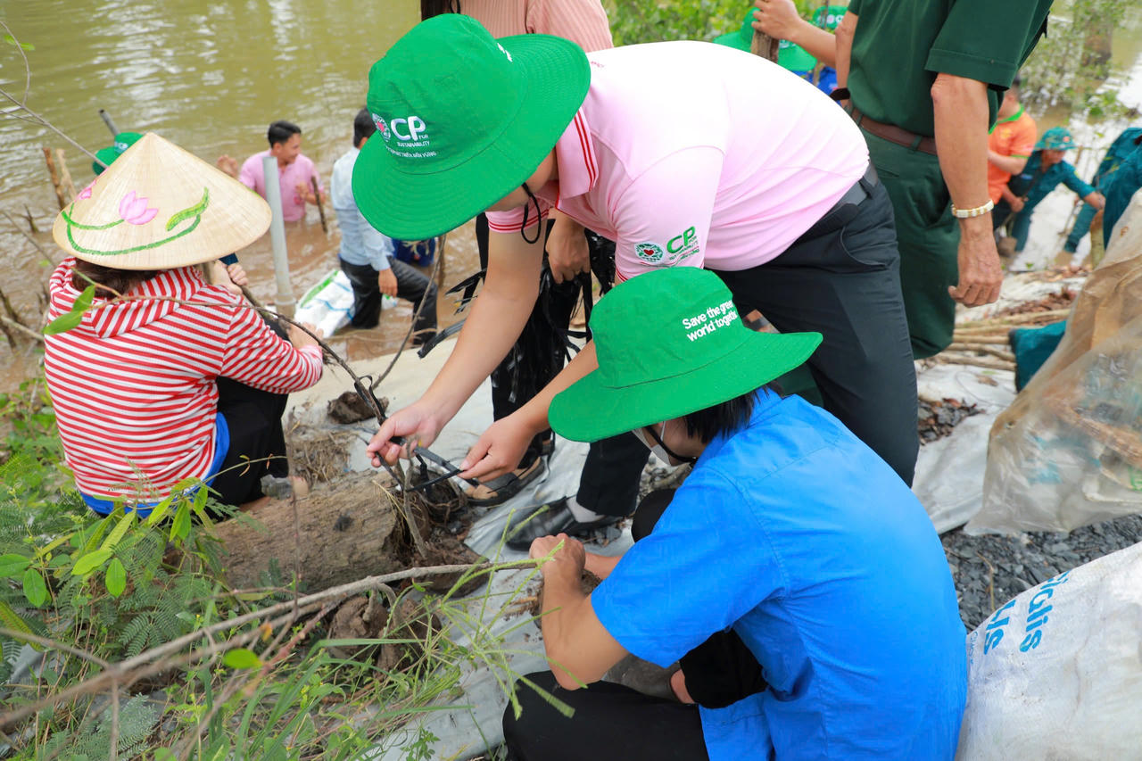 C.P. Việt Nam tiếp tục đồng hành cùng tỉnh Đồng Tháp xây kè xanh giữ đất, chống sạt lở bờ sông