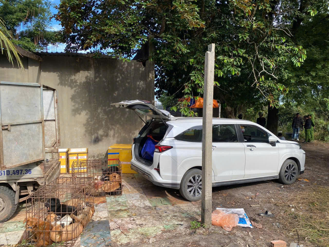 Bắt nhóm trộm chó chuyên nghiệp hoạt động liên tỉnh 