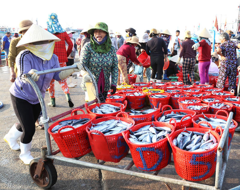 Rộn rã ngư trường Ninh Thuận đầu năm 2025