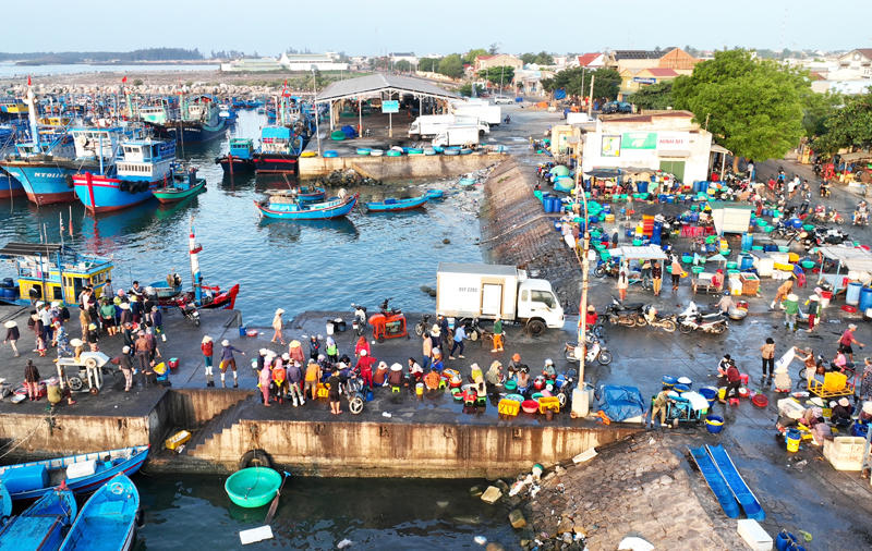 Rộn rã ngư trường Ninh Thuận đầu năm 2025