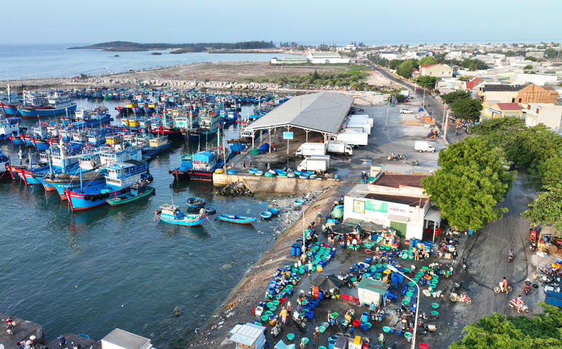 Rộn rã ngư trường Ninh Thuận đầu năm 2025