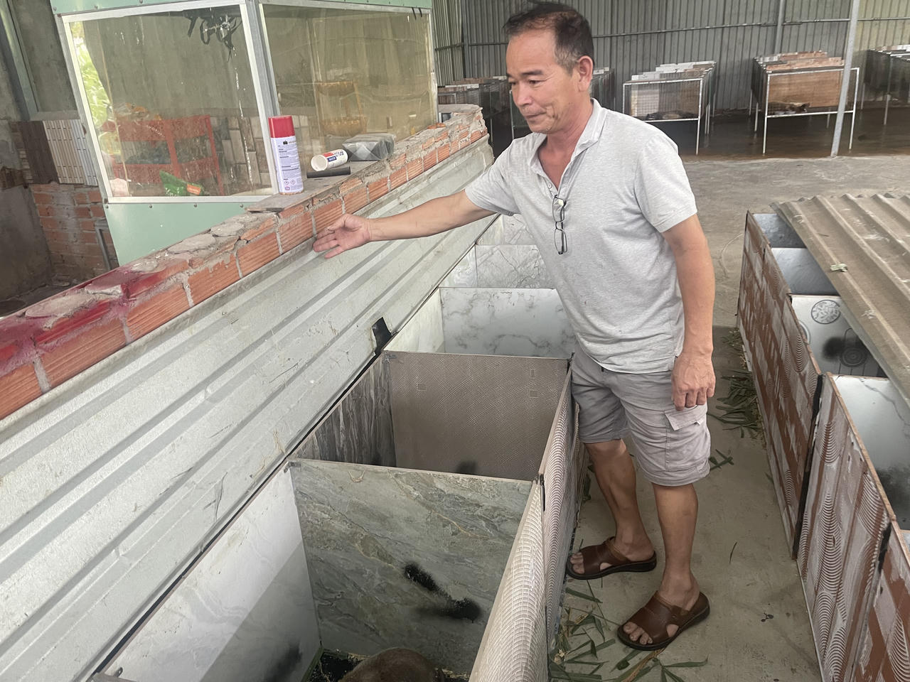 Mua con giống trên mạng - Người chăn nuôi ngậm trái đắng