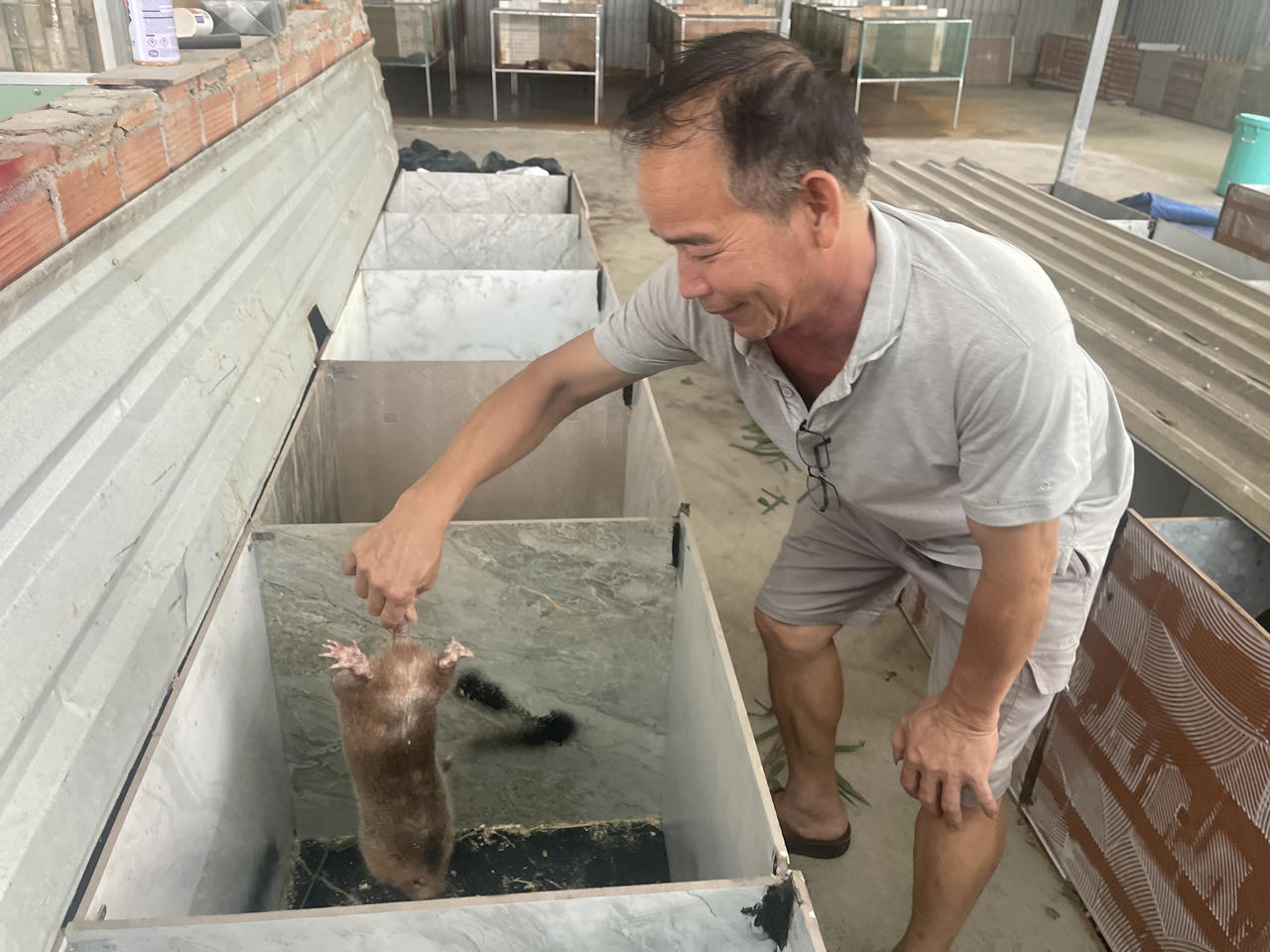 Mua con giống trên mạng - Người chăn nuôi ngậm trái đắng