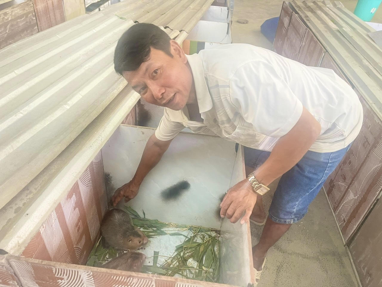 Thêm một người dân 'sập bẫy' lừa đảo khi mua giống động vật trên mạng