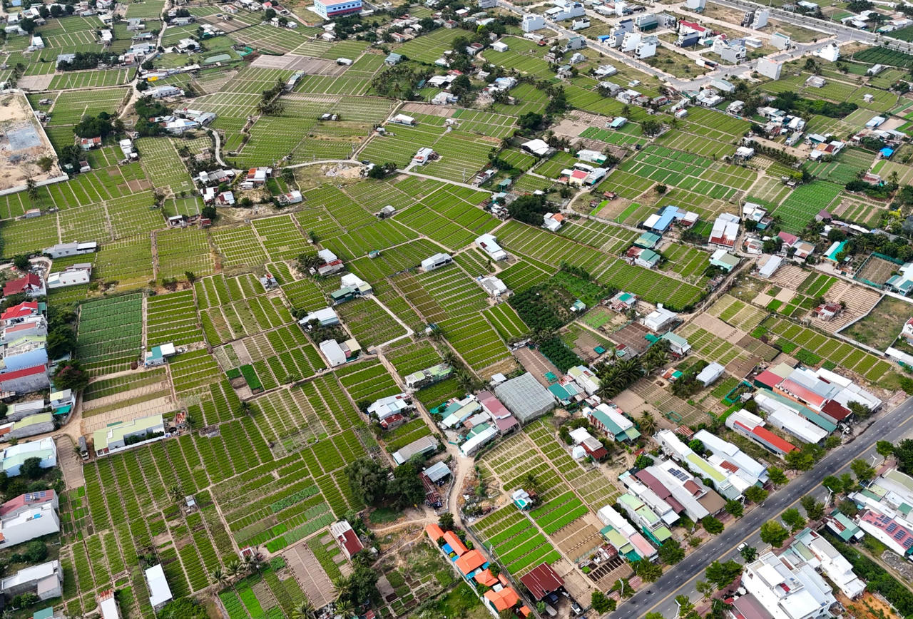 Biến vùng đất nắng – gió – cát thành vùng nông nghiệp công nghệ cao