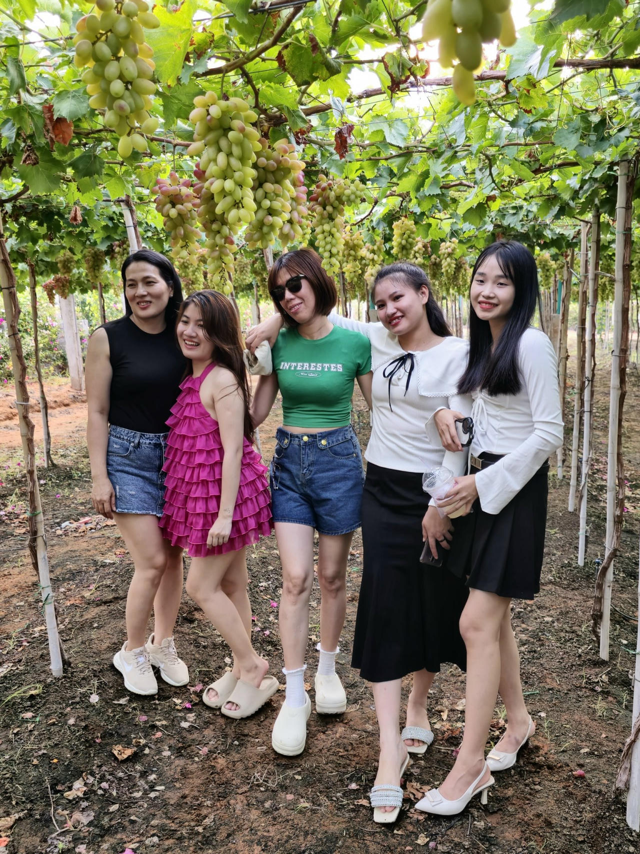 Biến vùng đất nắng – gió – cát thành vùng nông nghiệp công nghệ cao