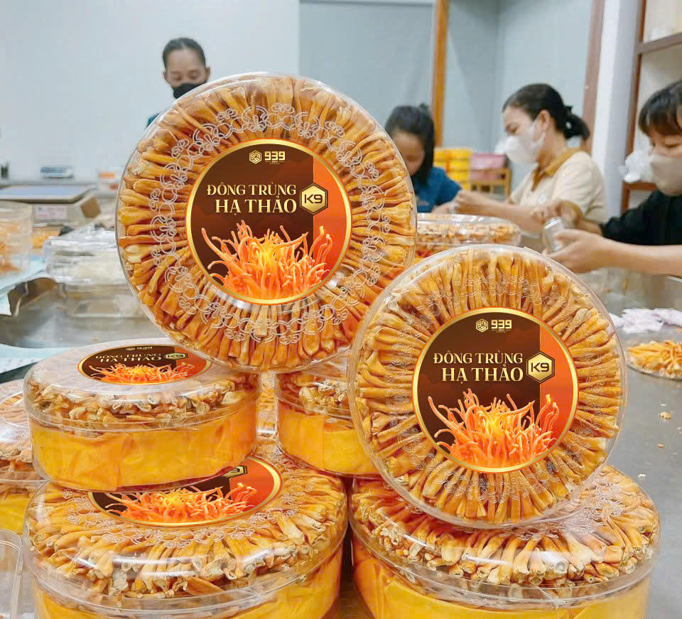 939 Group và khát vọng nâng tầm vị thế cây dược liệu Việt