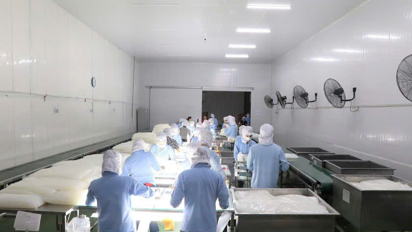 Ninh Thuận - Đất 'cựa mình' sinh sôi