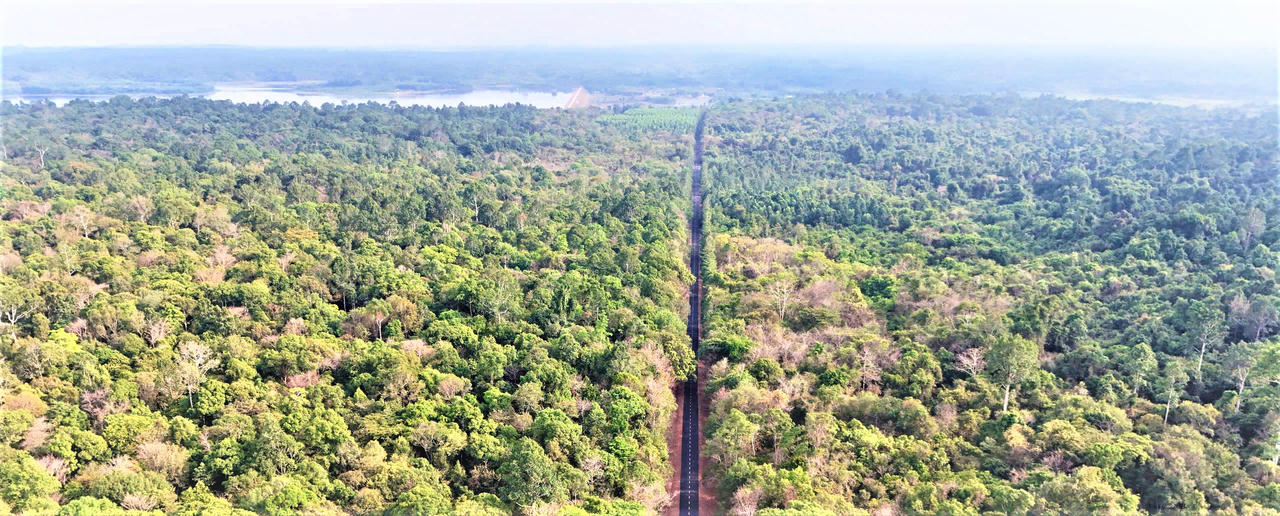 Mùa xuân ở Chiến khu Đ