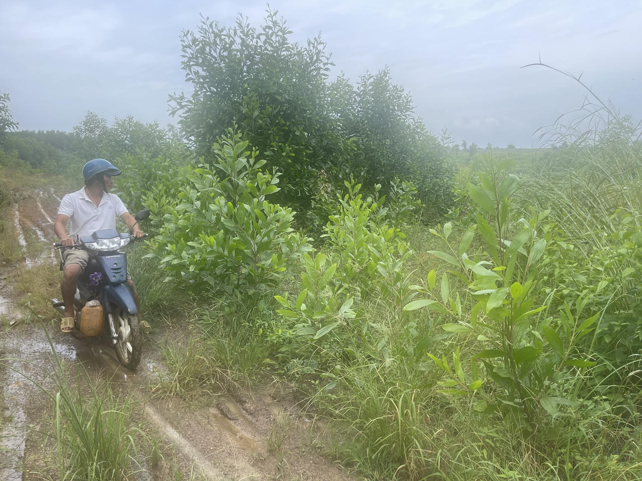 Bà Rịa - Vũng Tàu: Thời gian giải quyết hồ sơ chuyển mục đích sử dụng đất không quá 10 ngày