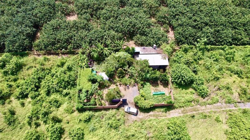 Bình Phước cho phép xây dựng công trình trên đất nông nghiệp