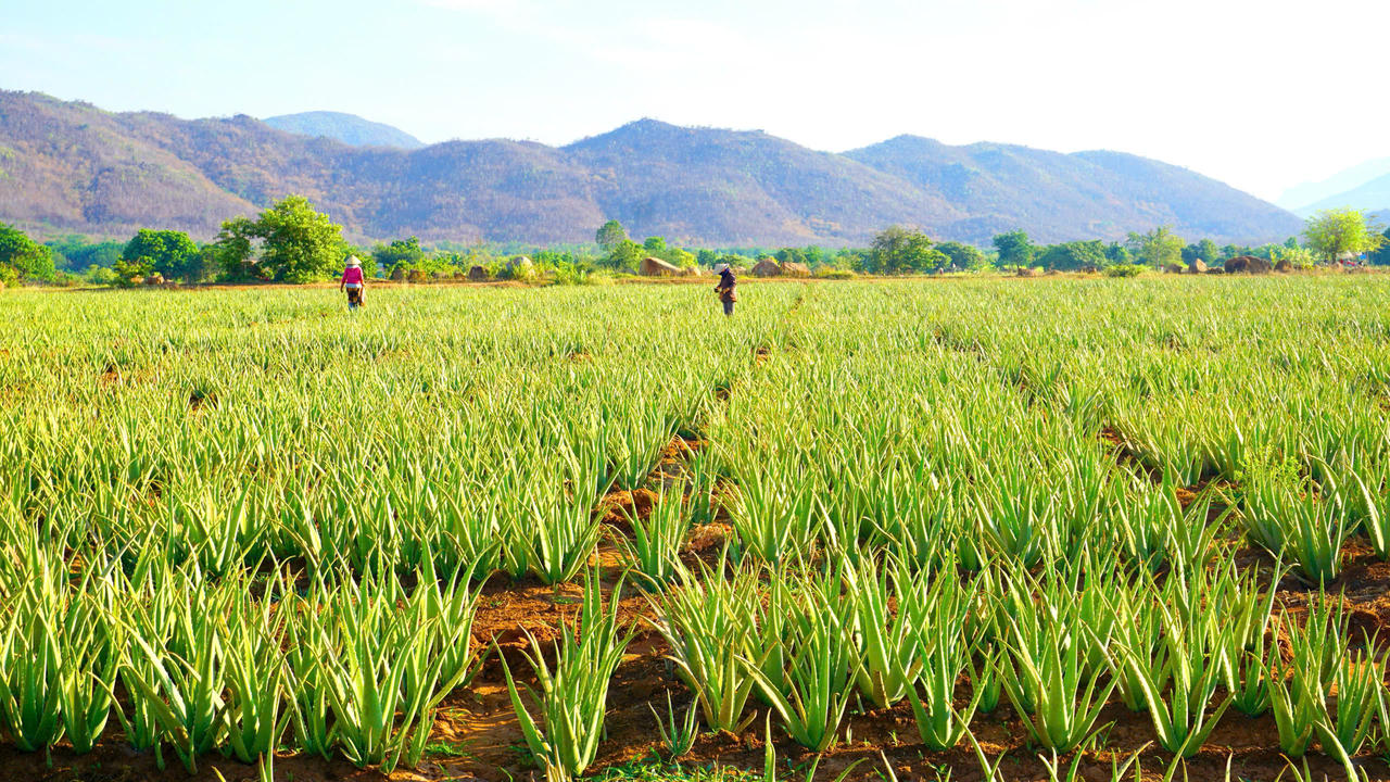 GC Food đồng hành cùng chương trình "vì Trường Sa thân yêu"