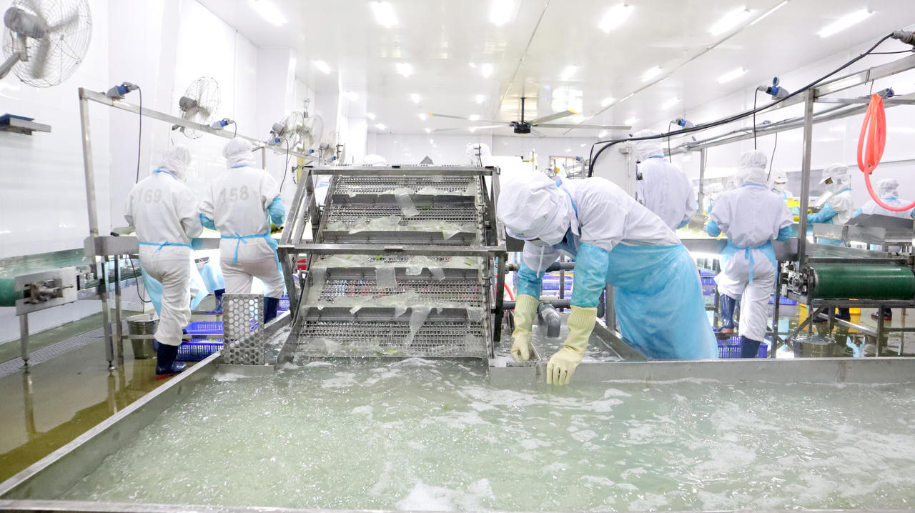 Bài 1: Vùng Đông Nam Bộ ‘mỏ vàng’ của kinh tế tư nhân