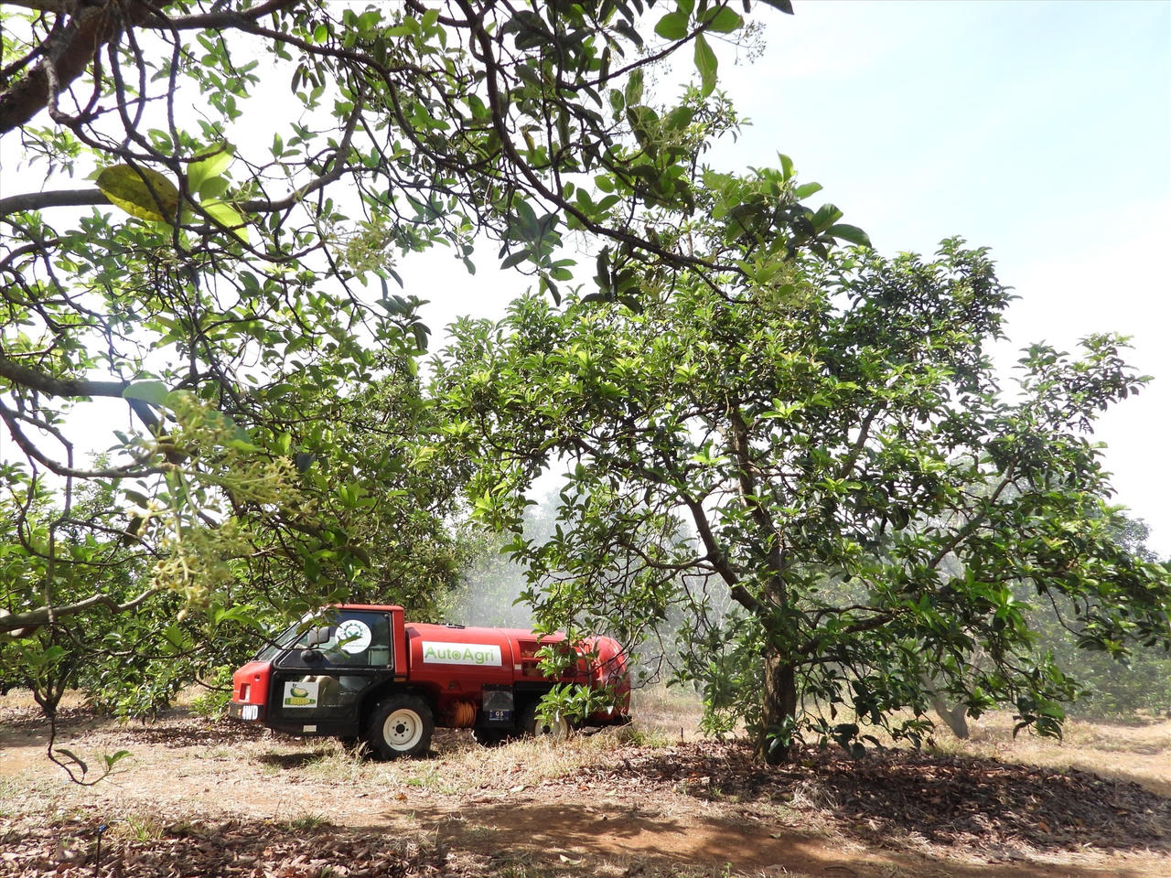 Bài 2: Đông Nam Bộ - vùng đất đổi mới của nông nghiệp công nghệ cao