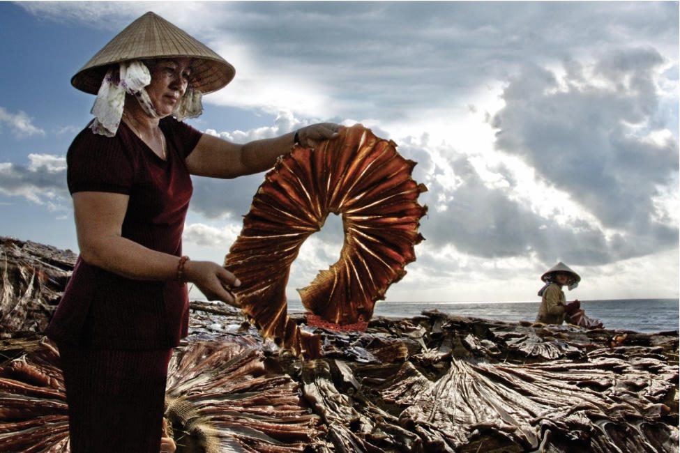 Bà Rịa – Vũng Tàu 'về đích' nông thôn mới, không còn hộ nghèo