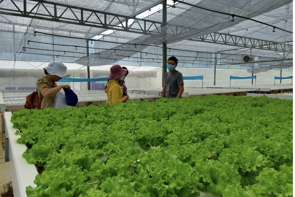 Bà Rịa – Vũng Tàu 'về đích' nông thôn mới, không còn hộ nghèo