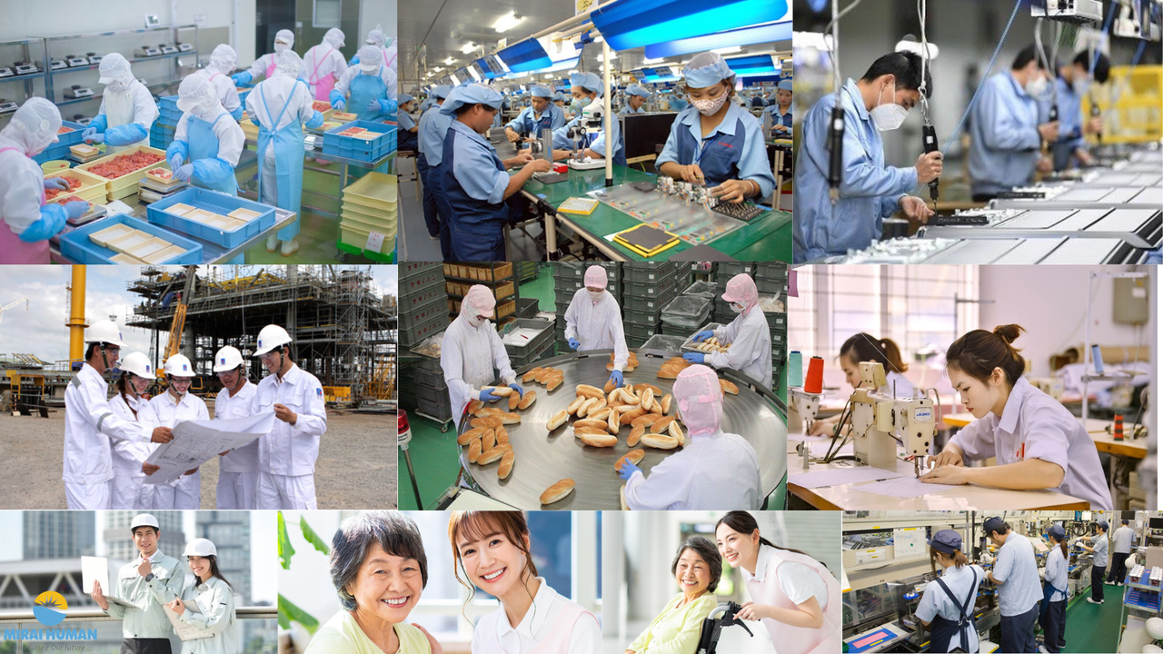 Nhật Bản tiếp tục là thị trường tiếp nhận lao động Việt Nam lớn nhất