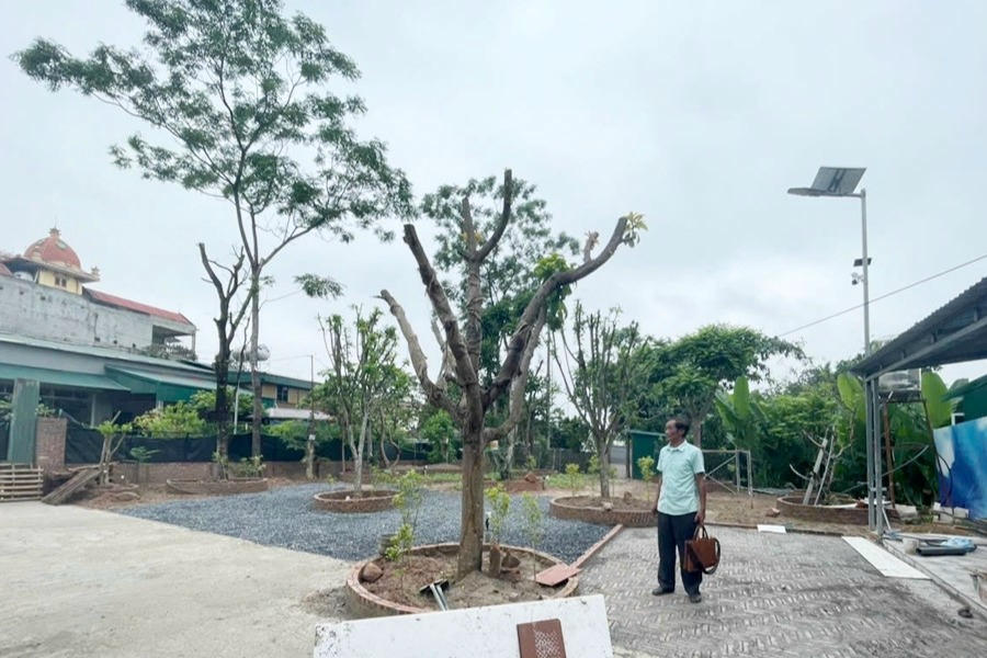 Sự việc thu hồi sổ đỏ tại TX Sơn Tây (cũ), Hà Nội: Người khiếu nại cho rằng cần xem xét nguồn gốc, quá trình sử dụng thửa đất