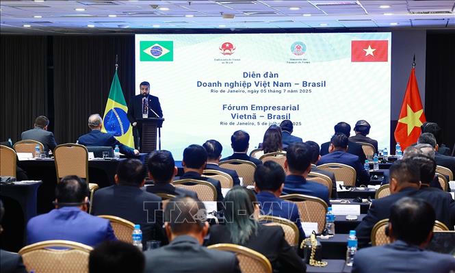 Diễn đàn doanh nghiệp Việt Nam - Brazil. Ảnh: Dương Giang/TTXVN