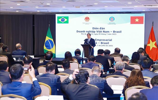 Thủ tướng Phạm Minh Chính phát biểu tại Diễn đàn doanh nghiệp Việt Nam - Brazil. Ảnh: Dương Giang/TTXVN