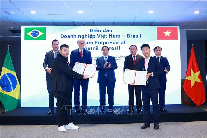 Thủ tướng Phạm Minh Chính chứng kiến trao Thoả thuận hợp tác về xuất khẩu lô hàng đầu tiên cá tra - basa và cá rô phi của Việt Nam sang Brazil. Ảnh: Dương Giang/TTXVN