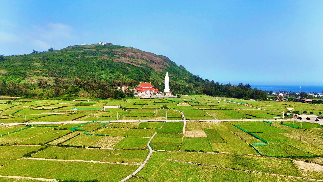 Ruộng bậc thang ở đảo Lý Sơn có những viên đá tạo thành từ đá núi lửa.