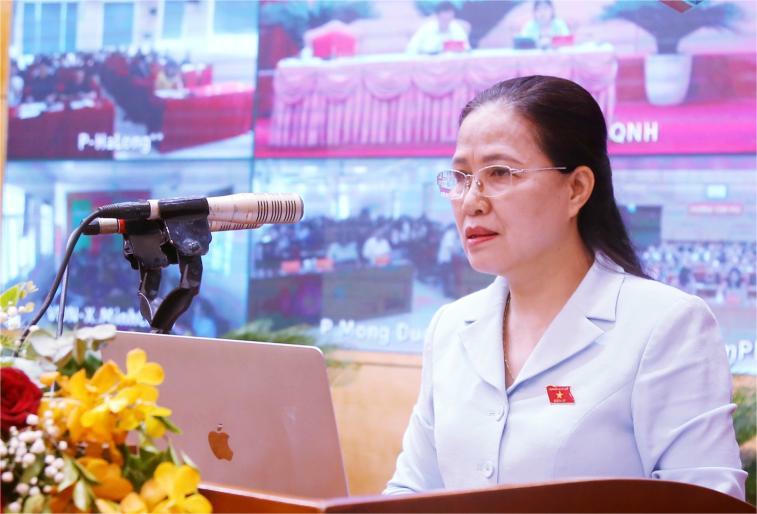 Bà Đỗ Thị Lan, Phó Chủ nhiệm Ủy ban Văn hóa và Xã hội của Quốc hội phát biểu tại hội nghị.