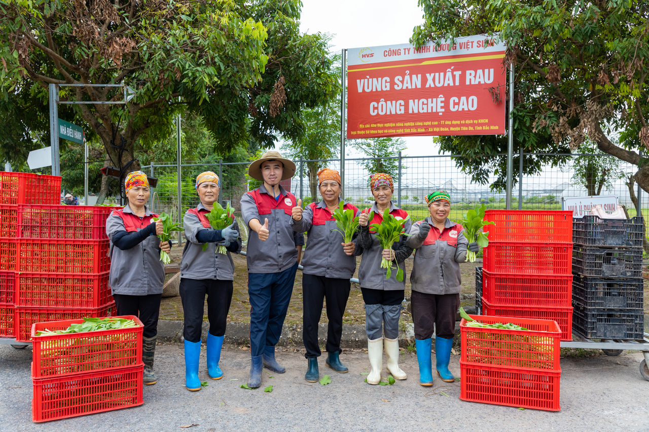 Công ty Hương Việt Sinh sử dụng thực phẩm sạch đảm bảo xuất ăn học đường