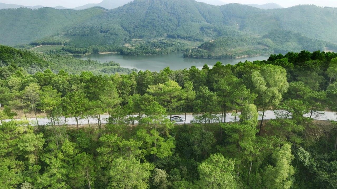 Bản quy hoạch Thanh Xuan Valley được thiết kế để giữ tối đa những tán thông hàng chục năm tuổi. Ảnh chụp thực tế tại Thanh Xuan Valley