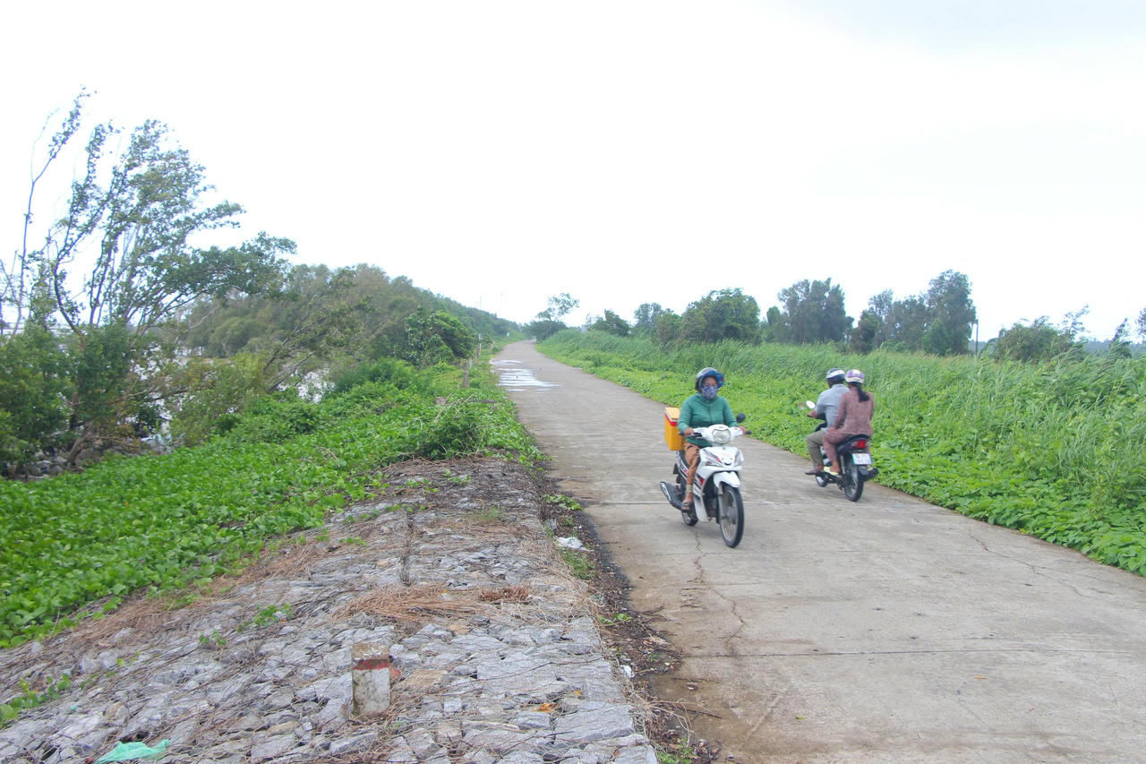 Tuyến đê biển Tây Cà Mau có chiều dài 108 km.