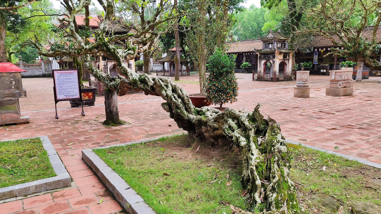 Quần thể di tích và danh thắng Yên Tử - Vĩnh Nghiêm, Côn Sơn, Kiếp Bạc liên quan trực tiếp đến sự sinh thành và lan tỏa giá trị sáng tạo, nhân văn của Phật giáo Trúc Lâm. 