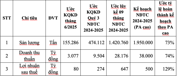 Bảng tổng hợp ước kết quả kinh doanh hợp nhất của HSG 09 tháng NĐTC 2024 - 2025