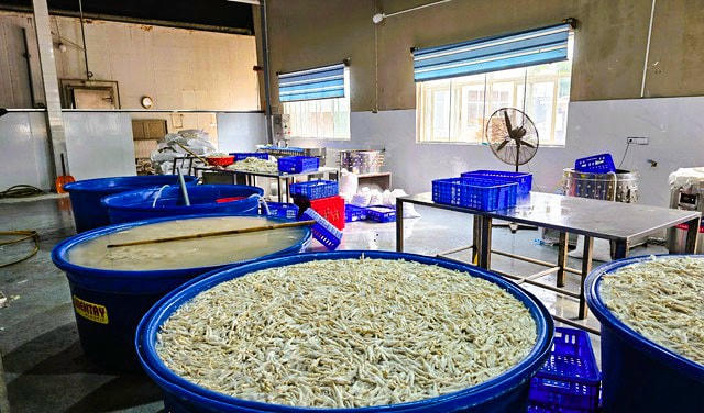 Tẩy trắng chân gà bằng hóa chất cực mạnh, hơn 13 tấn chuẩn bị "tuồn" ra thị trường