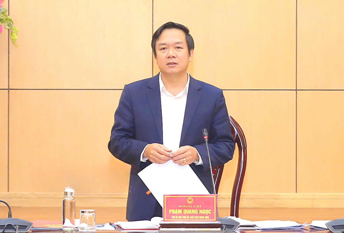 Ông Phạm Quang Ngọc, Chủ tịch UBND tỉnh, Phó Trưởng Ban Chỉ đạo phát biểu tại hội nghị trực tuy