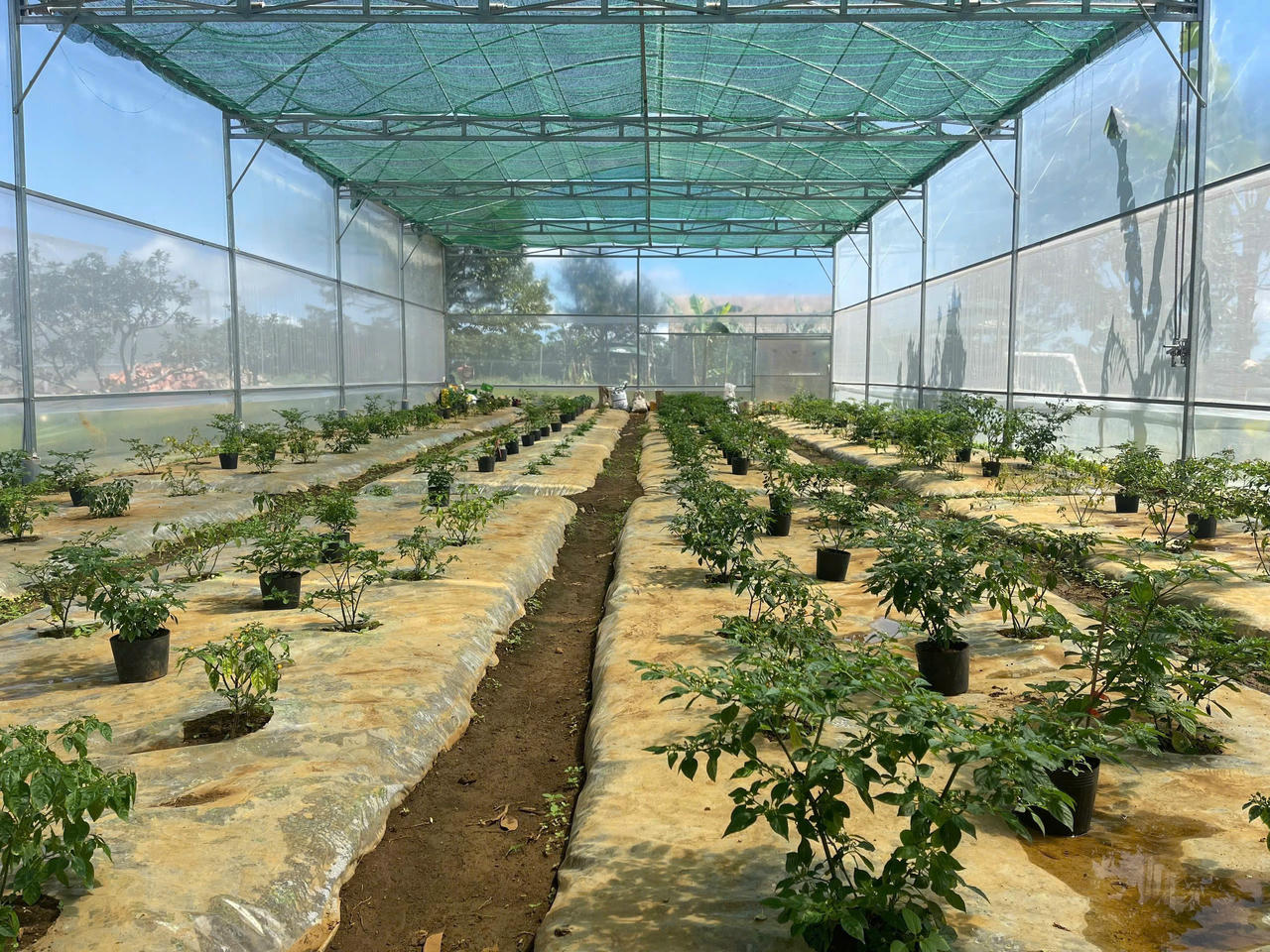 Đất nền tại dự án Perucharapita (huyện Bảo Lâm, tỉnh Lâm Đồng)