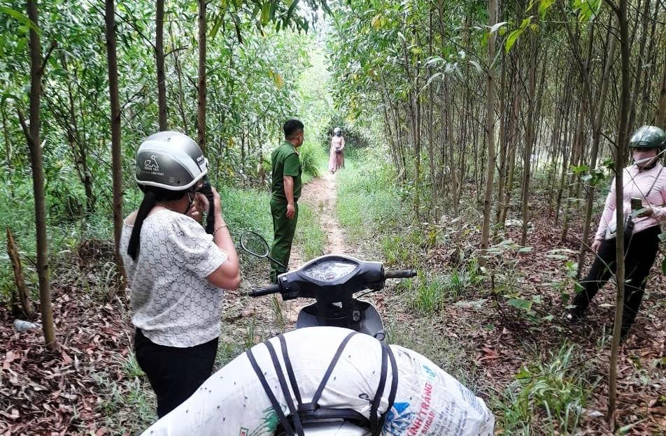 Một trường hợp vứt xác lợn ra môi trường bị phát hiện và xử lý.
