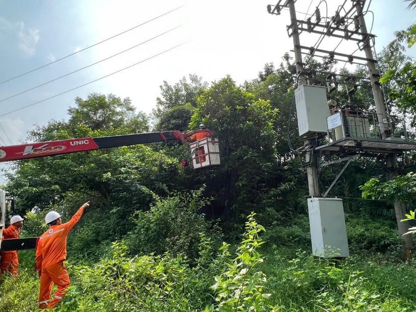 Phát quang hành lang lưới điện trước mùa mưa bão