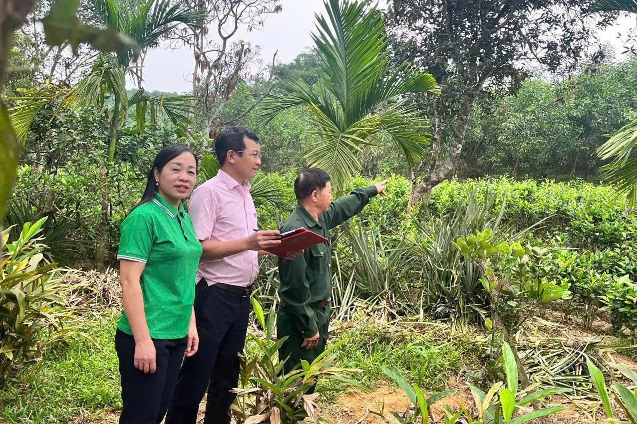 'Giữ' dòng vốn tín dụng chính sách thông suốt cho 'vùng đất ngọc' Lục Yên