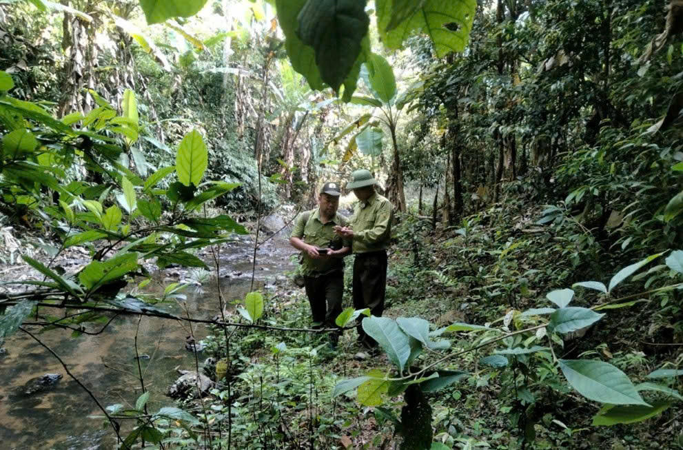 Việc ứng dụng công nghệ trong quản lý bảo vệ rừng tại tỉnh Sơn La đã và đang mang lại hiệu quả tích cực.