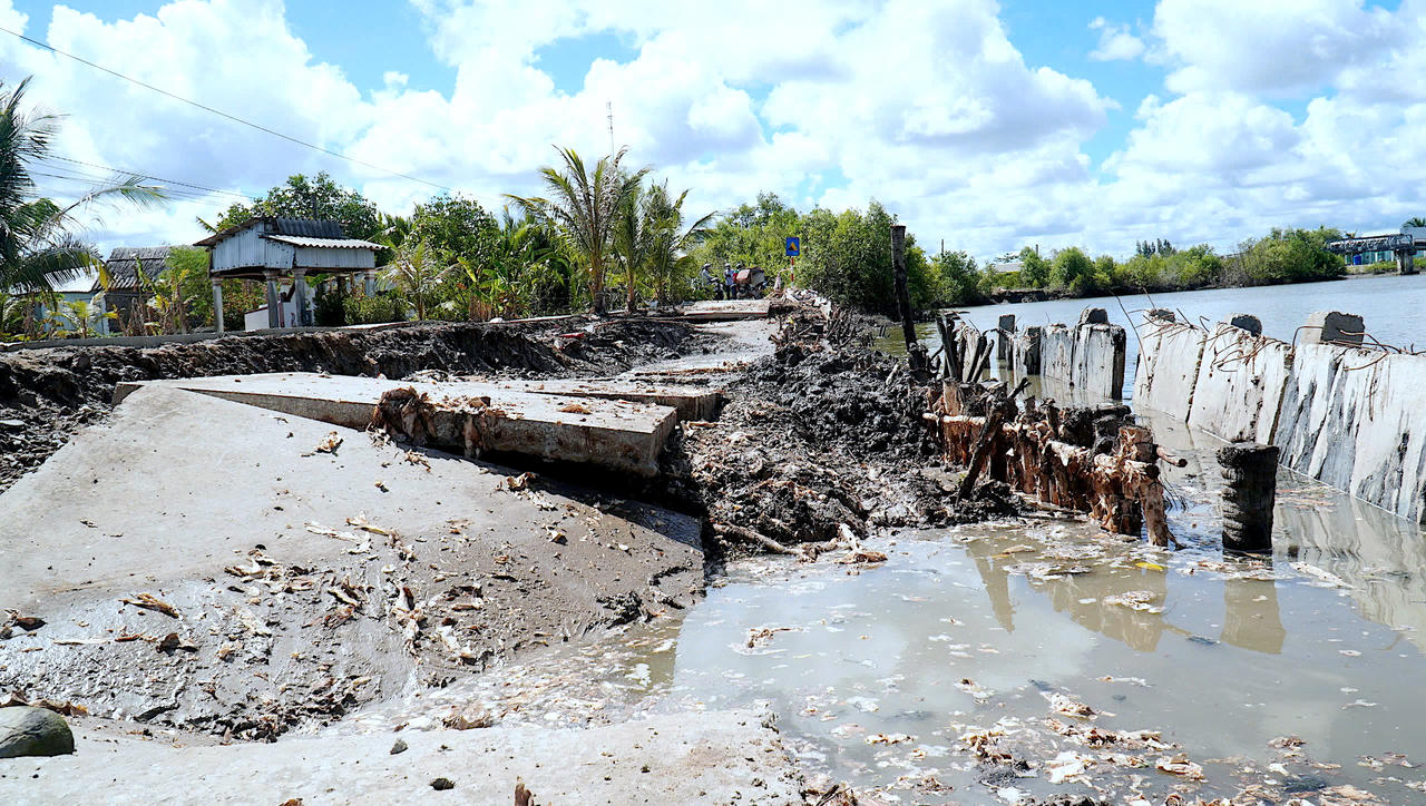 Khu vực sạt lở nghiêm trọng làm hư hỏng lộ nông thôn ven tuyến sông thuộc xã Nguyễn Việt Khái, tỉnh Cà Mau.