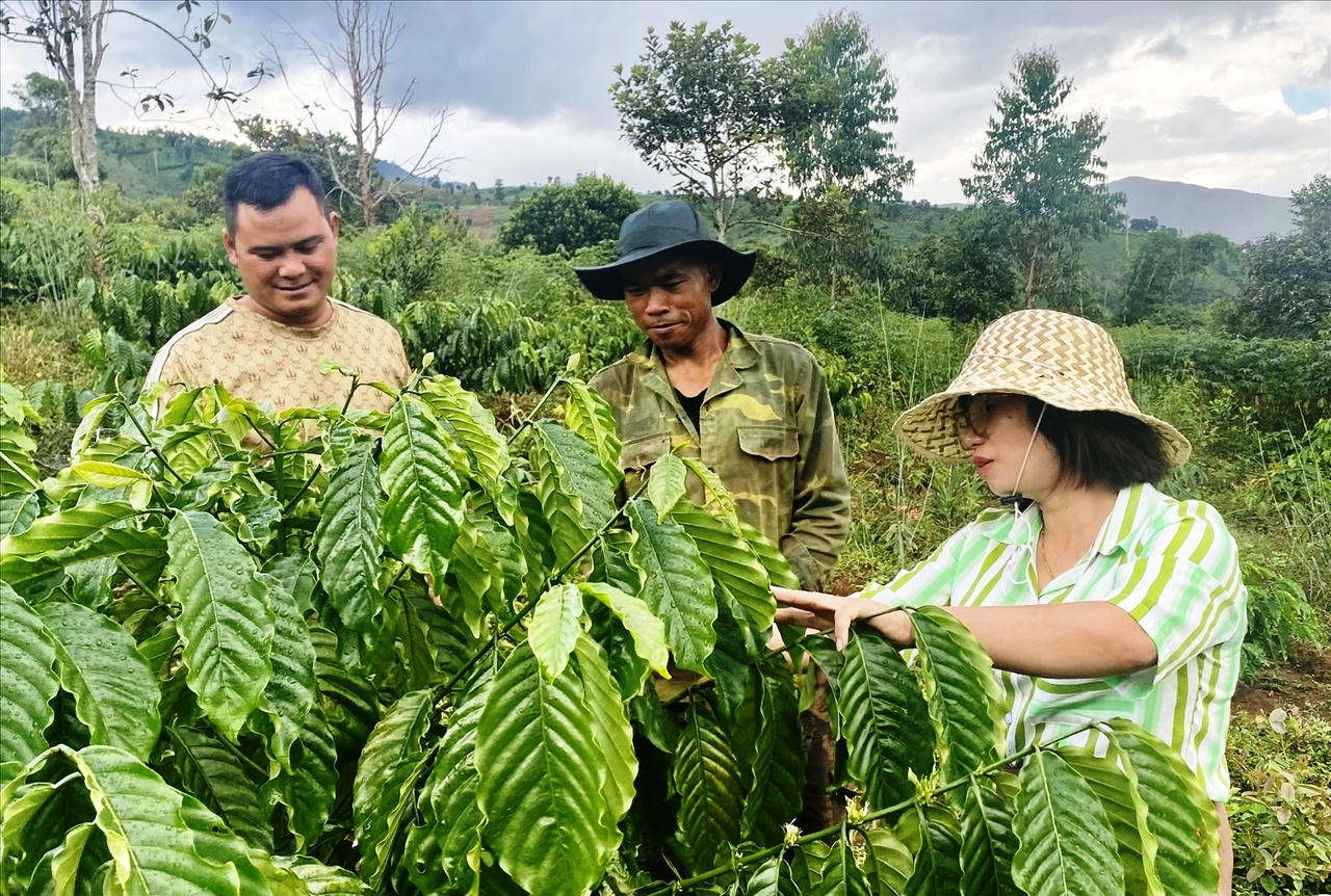 Chính quyền địa phương mong muốn nhận về những mầm xanh, cây trồng phù hợp với địa phương, giúp bà con có thêm cơ hội thoát nghèo và ổn định cuộc sống. Ảnh: Ngọc Chí