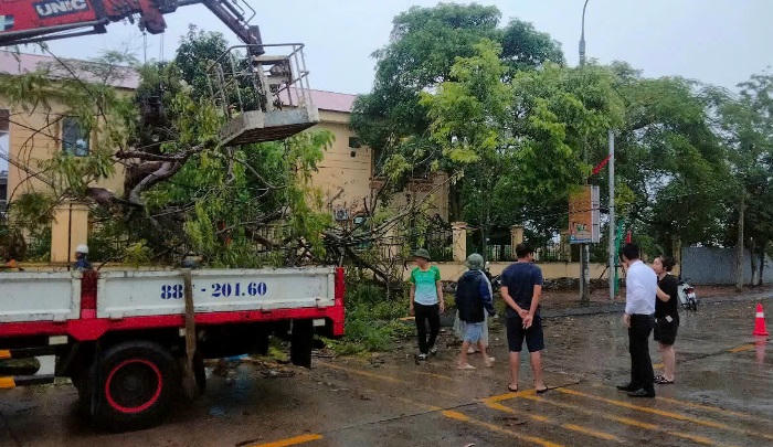 Nhiều cây cối bị đổ khi bão đi qua