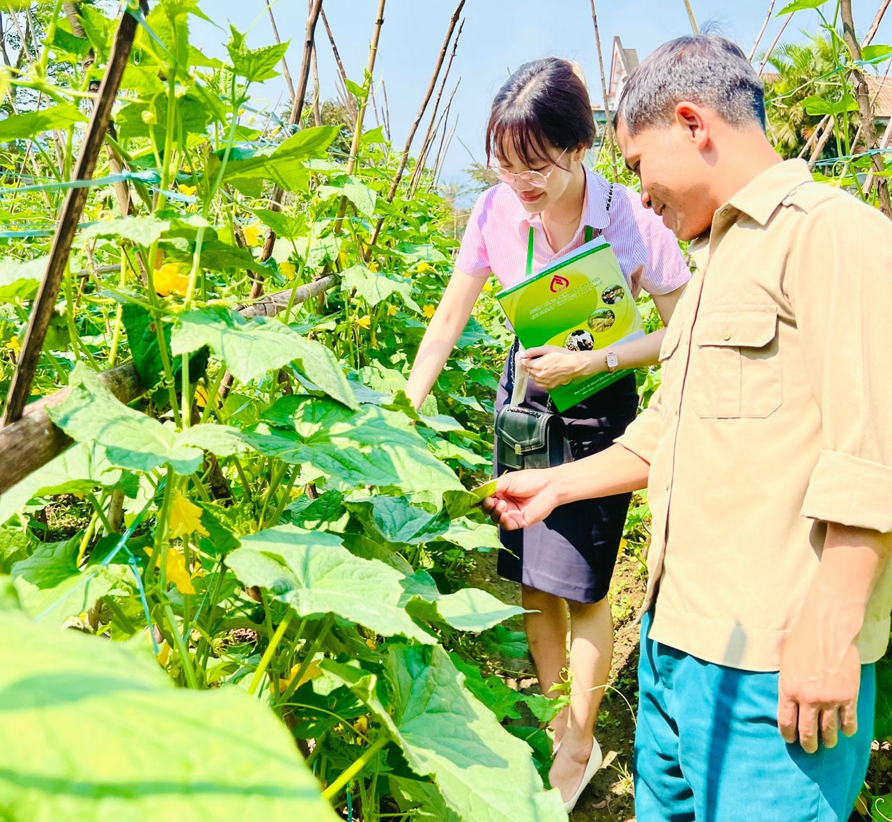 Nguồn vốn tín dụng chính sách đã hỗ trợ cho các hộ nghèo và các đối tượng chính sách khác trên địa bàn TP Huế phát triển kinh tế.